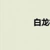 白龙村(关于白龙村介绍) 白龙村(关于白龙村介绍)