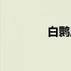 白鹮属（关于白鹮属介绍）
