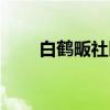 白鹤畈社区（关于白鹤畈社区介绍）
