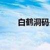 白鹤洞码头（关于白鹤洞码头介绍）