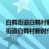 白鹤街道白鹤村新时代文明实践志愿者服务小队（关于白鹤街道白鹤村新时代文明实践志愿者服务小队介绍）