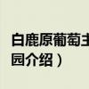 白鹿原葡萄主题公园（关于白鹿原葡萄主题公园介绍）