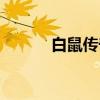 白鼠传奇（关于白鼠传奇介绍）