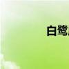 白鹭属（关于白鹭属介绍）