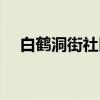 白鹤洞街社区（关于白鹤洞街社区介绍）