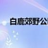 白鹿郊野公园（关于白鹿郊野公园介绍）