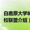 白鹿原大学城高校联盟（关于白鹿原大学城高校联盟介绍）
