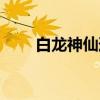 白龙神仙道(关于白龙神仙道介绍) 白龙神仙道(关于白龙神仙道介绍)