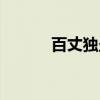 百丈独坐（关于百丈独坐介绍）