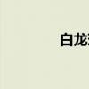 白龙珠（关于白龙珠介绍）