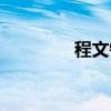 程文锦(关于程文锦介绍) 程文锦(关于程文锦介绍)