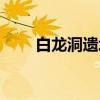 白龙洞遗址（关于白龙洞遗址介绍）