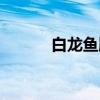 白龙鱼服(关于白龙鱼服介绍) 白龙鱼服(关于白龙鱼服介绍)