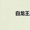 白龙王庙（关于白龙王庙介绍）
