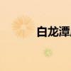 白龙潭庙（关于白龙潭庙介绍）