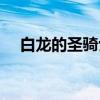 白龙的圣骑士（关于白龙的圣骑士介绍）