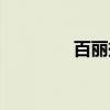 百丽挺（关于百丽挺介绍）
