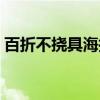 百折不挠具海拉（关于百折不挠具海拉介绍）