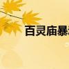 百灵庙暴动（关于百灵庙暴动介绍）