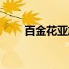 百金花亚族（关于百金花亚族介绍）