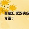 百脑汇 武汉实业有限公司（关于百脑汇 武汉实业有限公司介绍）