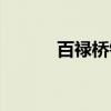 百禄桥镇（关于百禄桥镇介绍）