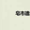 皂市遗址（关于皂市遗址介绍）