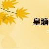 皇塘村（关于皇塘村介绍）
