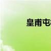 皇甫屯村（关于皇甫屯村介绍）