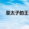皇太子的王子（关于皇太子的王子介绍）