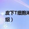 皮下T细胞淋巴瘤（关于皮下T细胞淋巴瘤介绍）