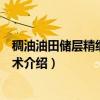 稠油油田储层精细描述技术（关于稠油油田储层精细描述技术介绍）