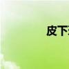 皮下环（关于皮下环介绍）