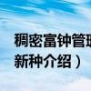 稠密富钟管珊瑚 新种（关于稠密富钟管珊瑚 新种介绍）
