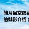 皓月当空夜幕下的魅影（关于皓月当空夜幕下的魅影介绍）