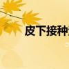 皮下接种法（关于皮下接种法介绍）