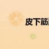 皮下筋膜（关于皮下筋膜介绍）