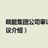 皖能集团公司审计工作会议（关于皖能集团公司审计工作会议介绍）