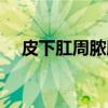 皮下肛周脓肿（关于皮下肛周脓肿介绍）