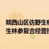 皖西山区仿野生林参复合经营技术规范（关于皖西山区仿野生林参复合经营技术规范介绍）