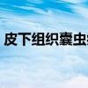 皮下组织囊虫病（关于皮下组织囊虫病介绍）