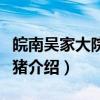 皖南吴家大院黑毛猪（关于皖南吴家大院黑毛猪介绍）