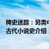 稗史迷踪：另类中国古代小说史（关于稗史迷踪：另类中国古代小说史介绍）