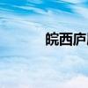皖西庐剧（关于皖西庐剧介绍）