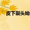 皮下裂头蚴病(关于皮下裂头蚴病介绍) 皮下裂头蚴病(关于皮下裂头蚴病介绍)
