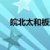 皖北太和板面（关于皖北太和板面介绍）