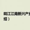 皖江江南新兴产业集中区（关于皖江江南新兴产业集中区介绍）