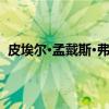 皮埃尔·孟戴斯·弗朗斯（关于皮埃尔·孟戴斯·弗朗斯介绍）