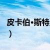 皮卡伯·斯特里特（关于皮卡伯·斯特里特介绍）
