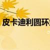 皮卡迪利圆环站（关于皮卡迪利圆环站介绍）